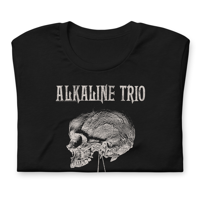 Stakes - Alkaline Trio Roses Blooming T-Shirt - Black