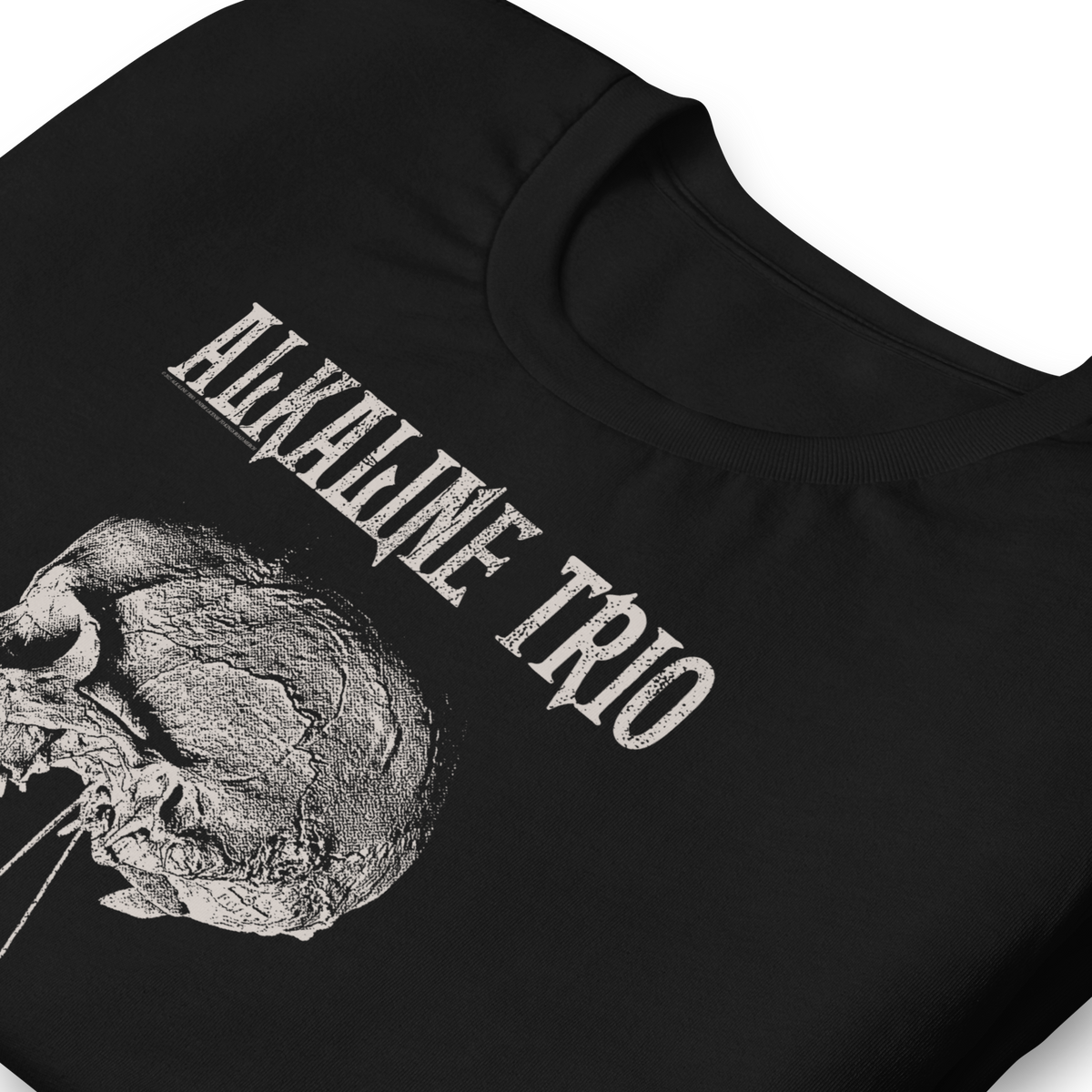 Stakes - Alkaline Trio Roses Blooming T-Shirt - Black