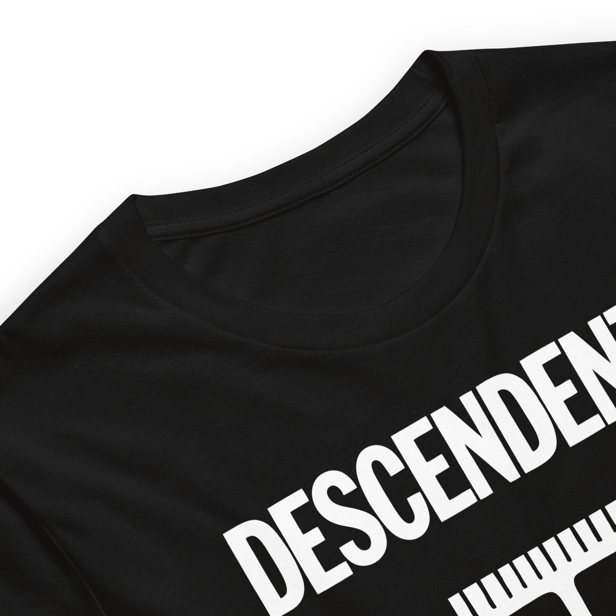 Stakes - Descendents Everything Sux T-Shirt - Black