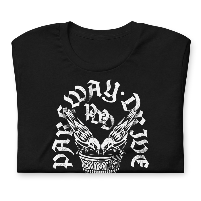 Stakes - Parkway Drive Burn Your Heaven T-Shirt - Black