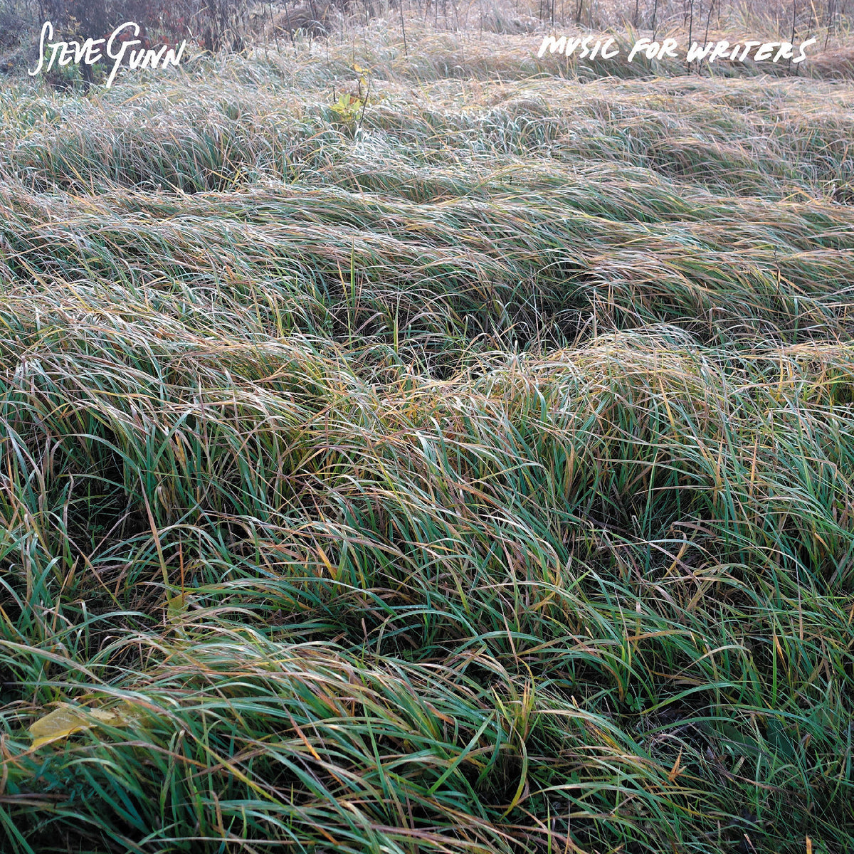 Steve Gunn - Music For Writers - CD