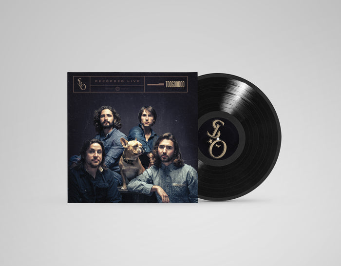 Stop Light Observations - TOOGOODOO - Vinyl