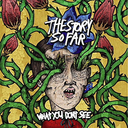 Story So Far, The - What You Don'T See - Vinyl