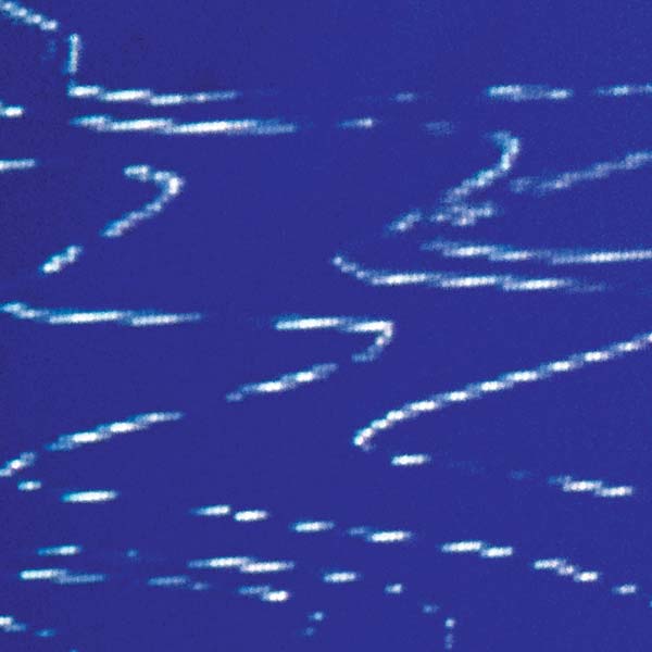 STRATEGY - Information Pollution - Vinyl