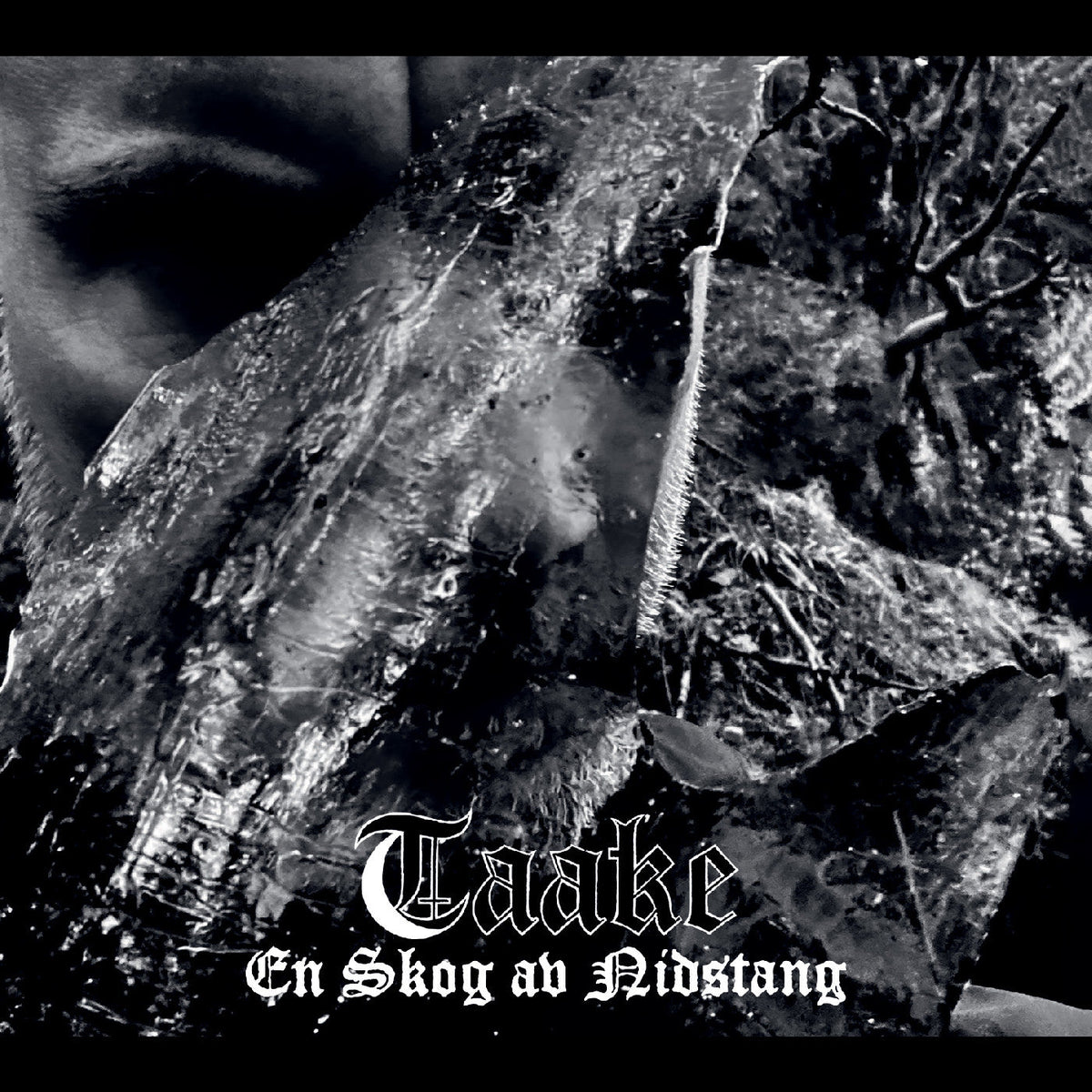 Taake - En Skog Av Nidstang - Vinyl