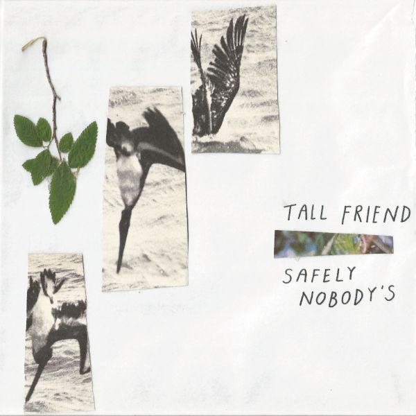 Tall Friend - Safely Nobody's - Rock