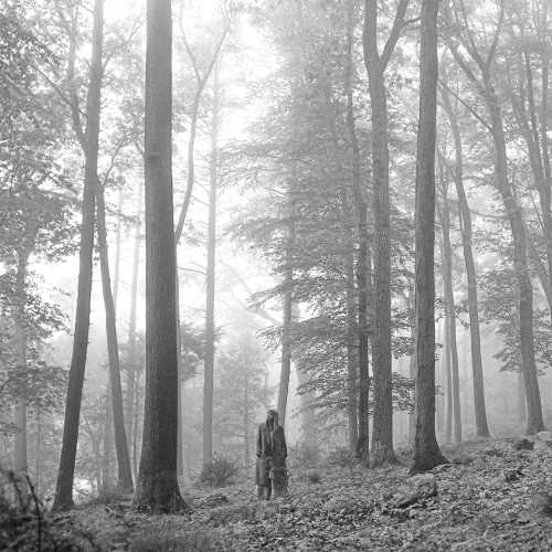 Taylor Swift - folklore ("in the trees" edition) - Vinyl