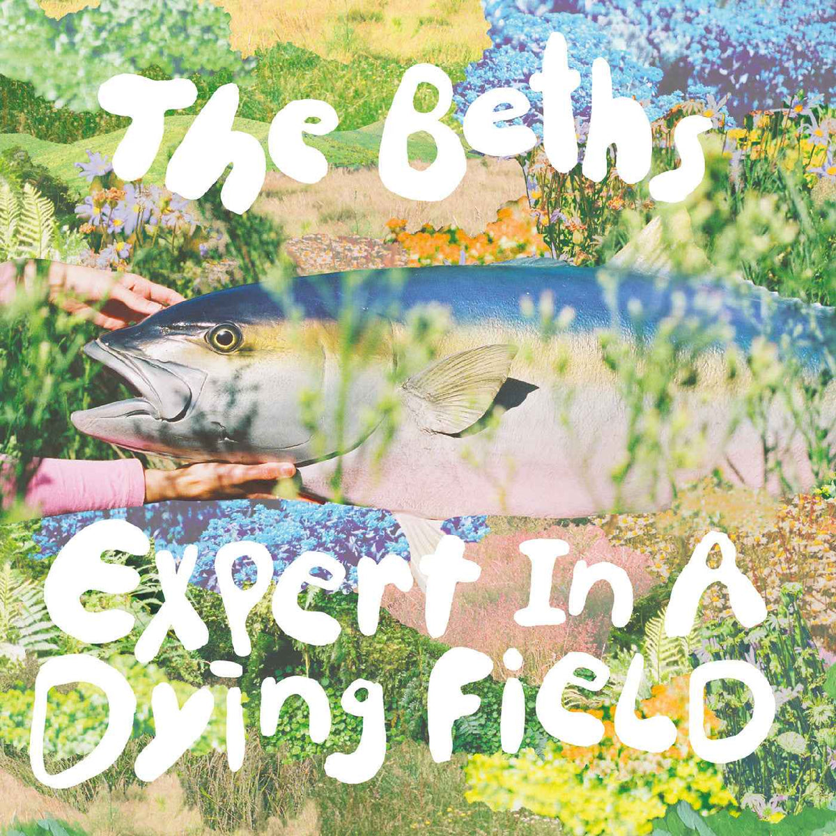 The Beths - Expert In A Dying Field ("Head In The Clouds" Blue Eco-Mix Vinyl) - Vinyl