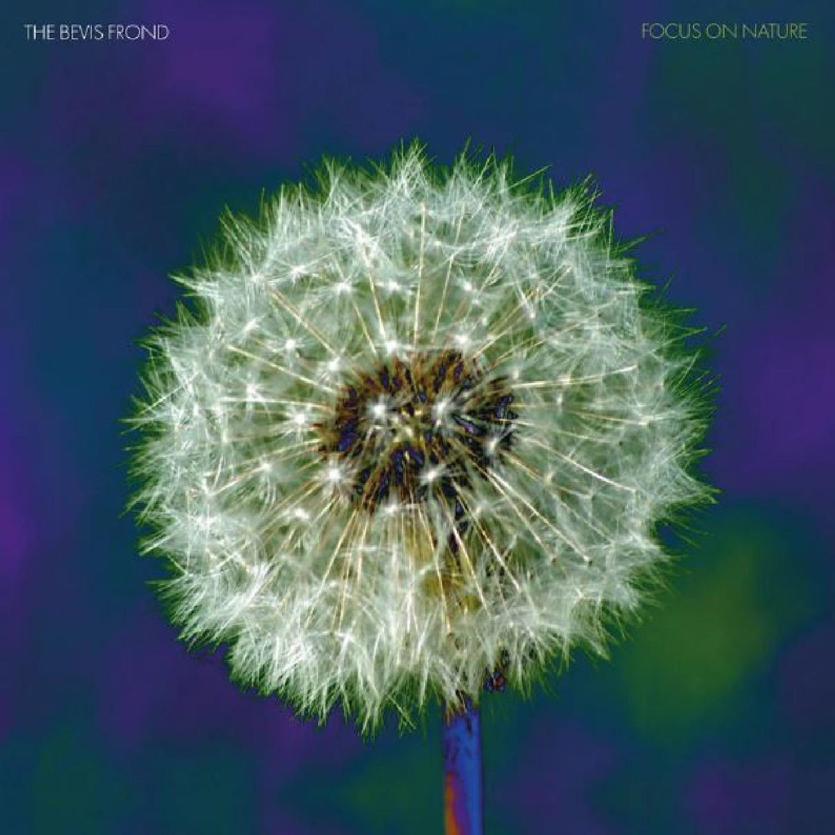 The Bevis Frond - Focus on Nature - Vinyl