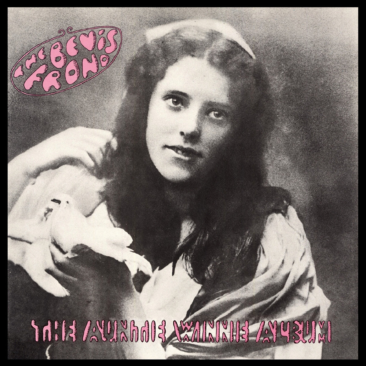 The Bevis Frond - The Auntie Winnie Album (Pink Vinyl) - Vinyl