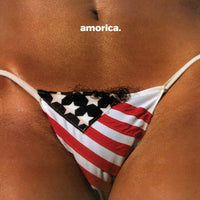 The Black Crowes - Amorica. [180G 2LP] - Vinyl