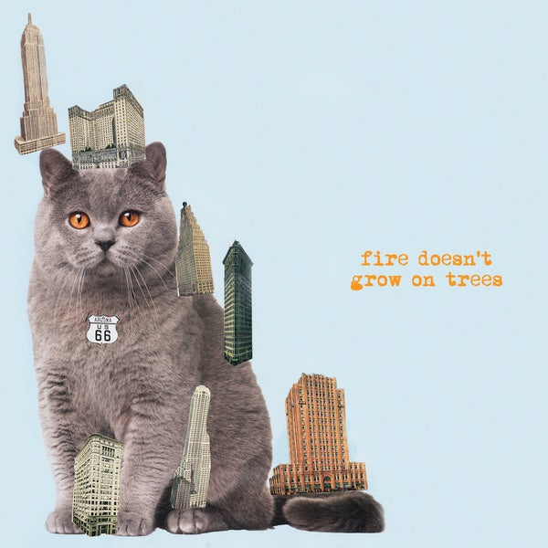 The Brian Jonestown Massacre - Fire Doesn't Grow On Trees - Vinyl