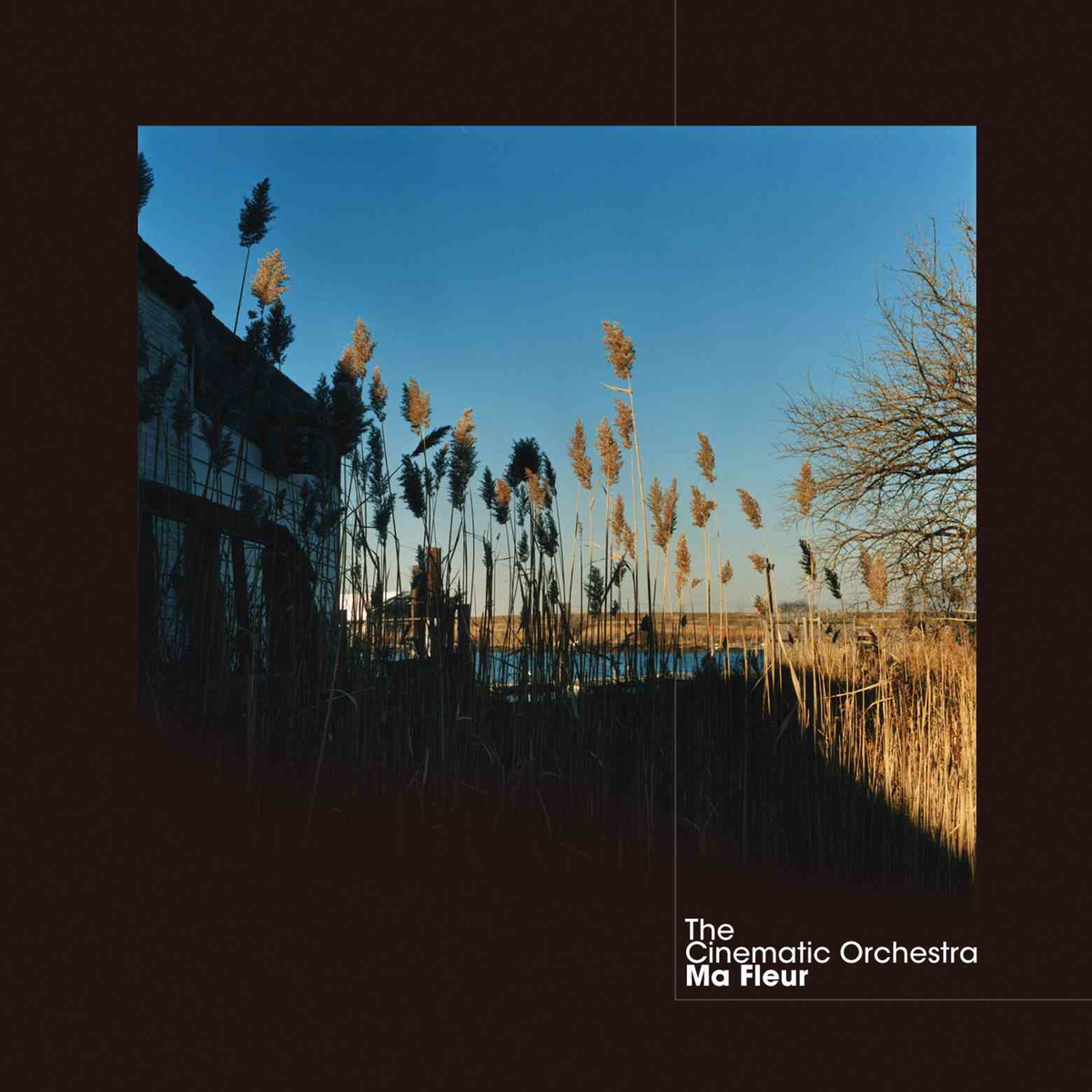 The Cinematic Orchestra - Ma Fleur - Vinyl