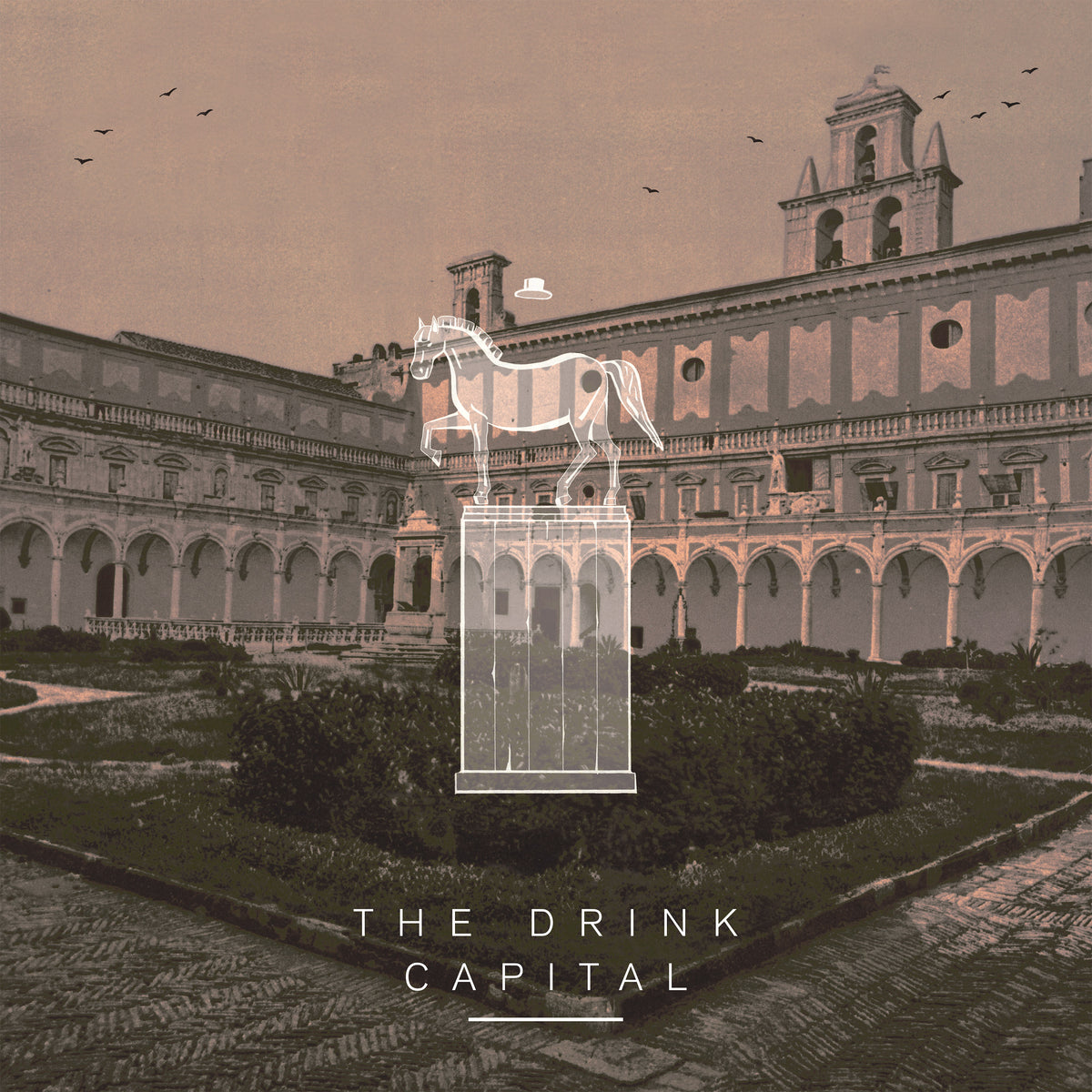 The Drink - Capital - Vinyl