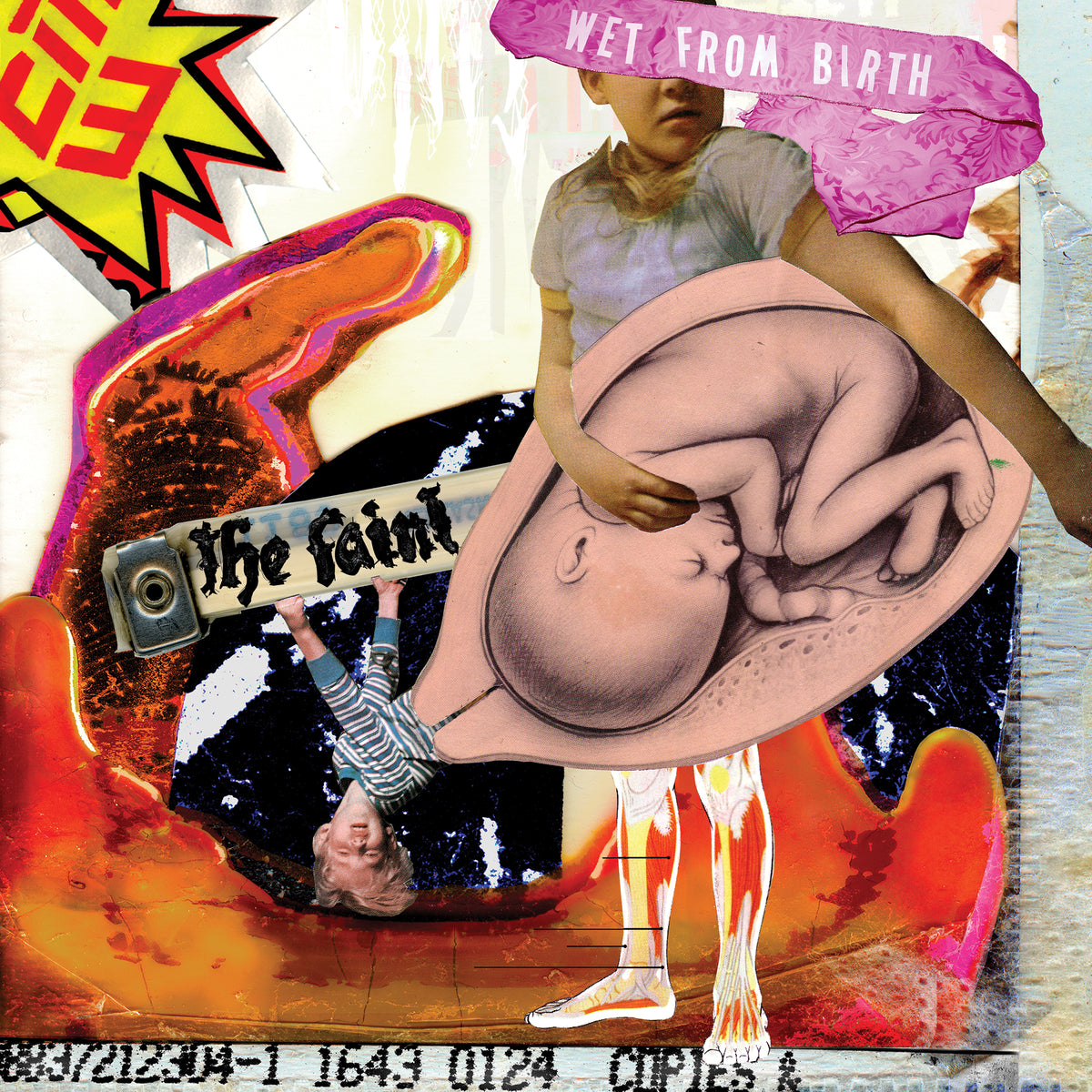 The Faint - Wet From Birth - Vinyl