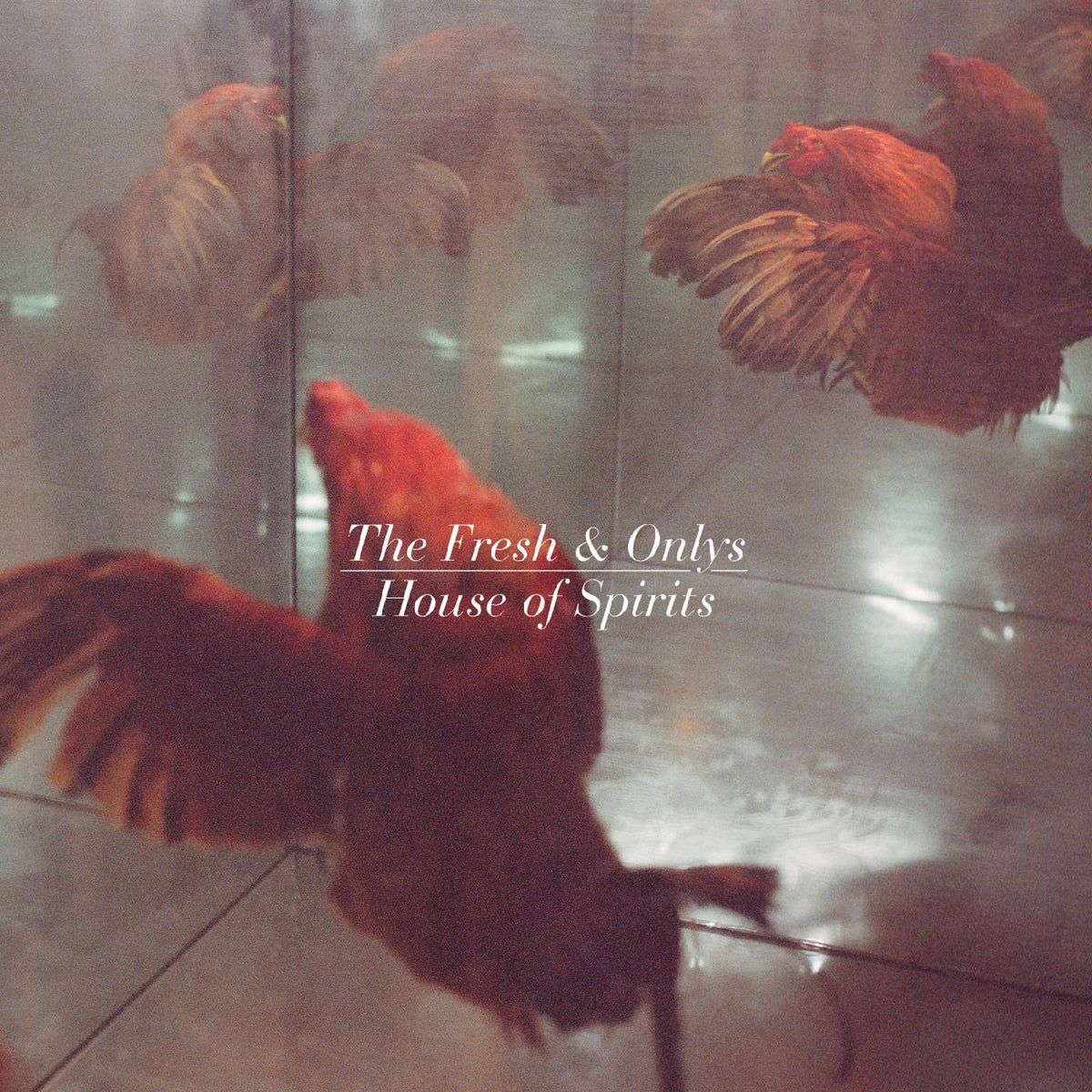 The Fresh & Onlys - House of Spirits - Vinyl