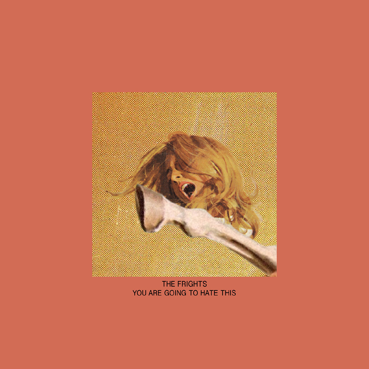 The Frights - You Are Going To Hate This - Vinyl