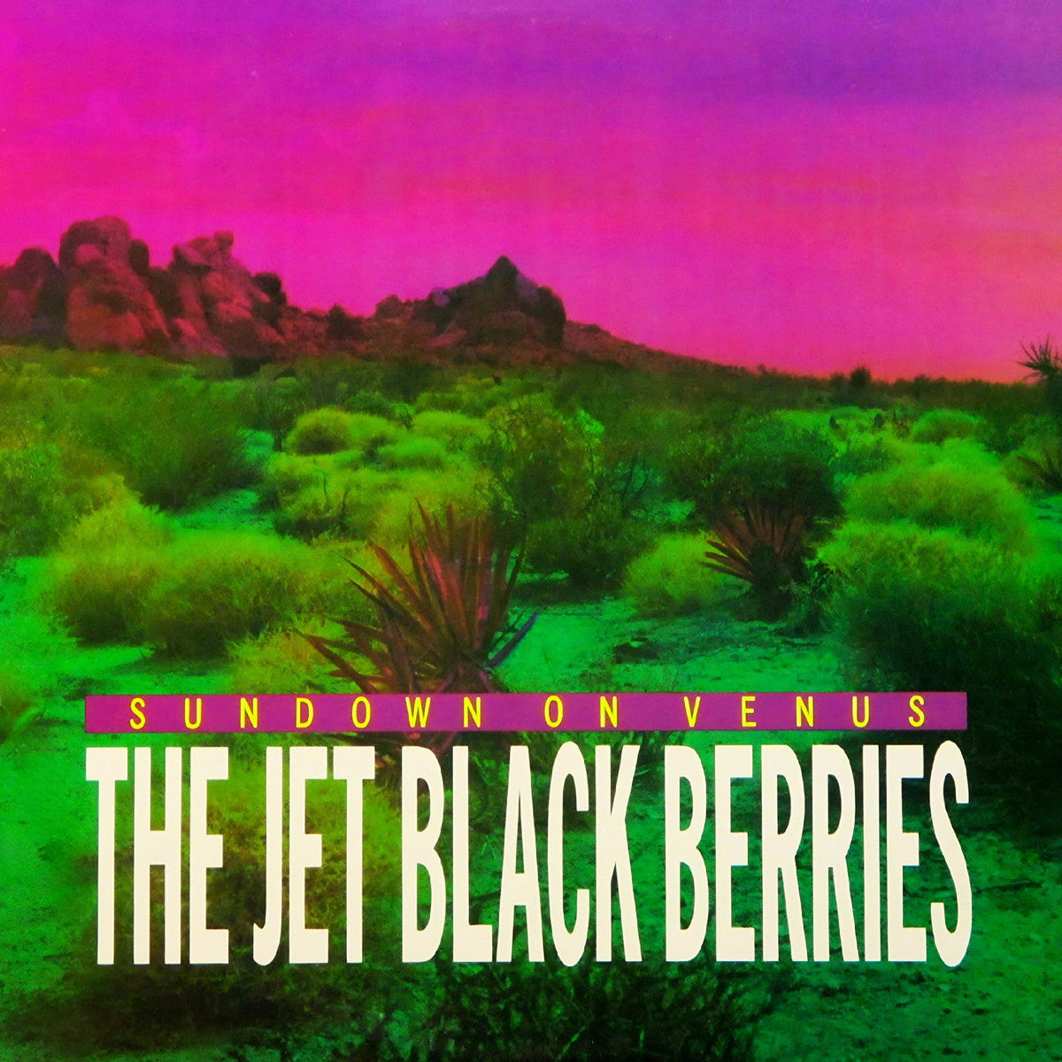 The Jet Black Berries - Sundown On Venus [Definitive Edition] - Vinyl
