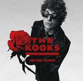 The Kooks - Never/ Know - Vinyl