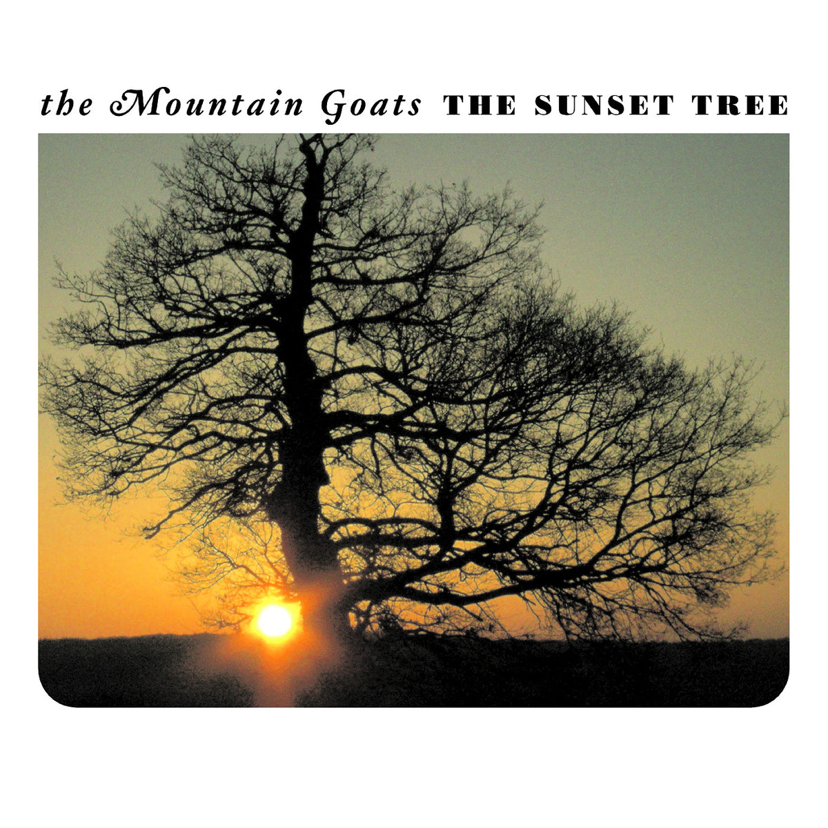 The Mountain Goats - The Sunset Tree 20Th Anniversary Remaster (Apricot Vinyl) - Vinyl