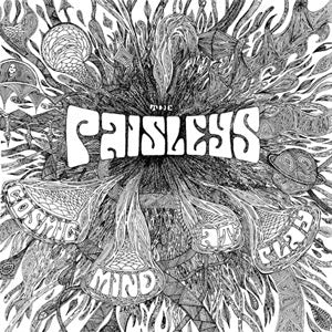 The Paisleys - Cosmic Mind At Play - Vinyl