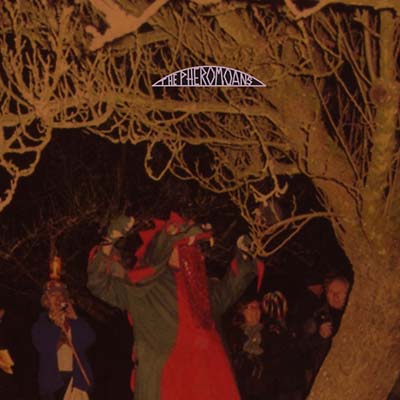 THE PHEROMOANS - Does This Guy Stack Up? - CD