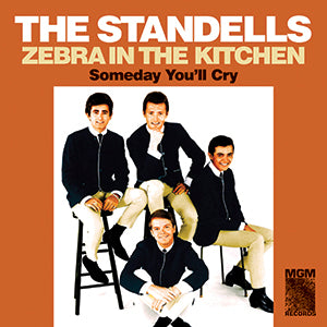 The Standells - Zebra in the Kitchen / Someday You'll Cry - Vinyl
