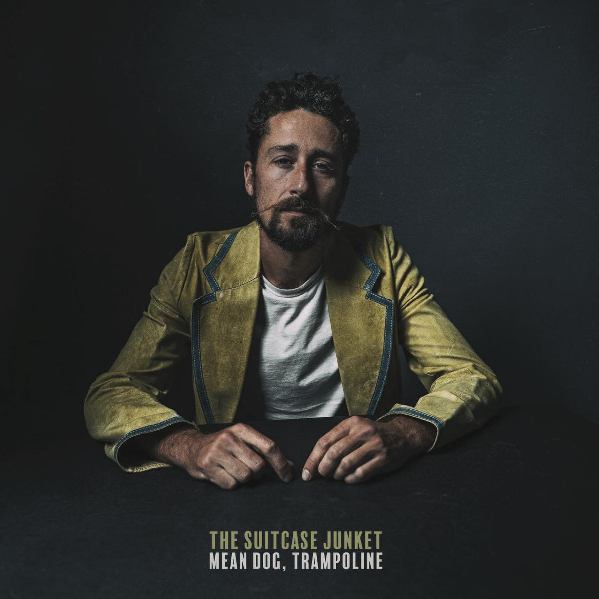 The Suitcase Junket - Mean Dog, Trampoline - Vinyl