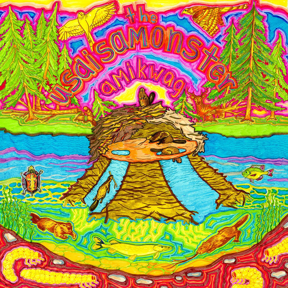 The Usaisamonster - Amikwag - Vinyl
