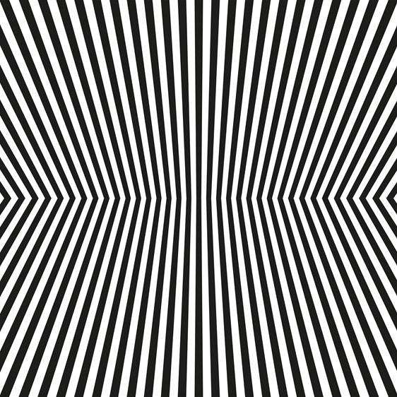 The Vacant Lots - Damage Control - CD