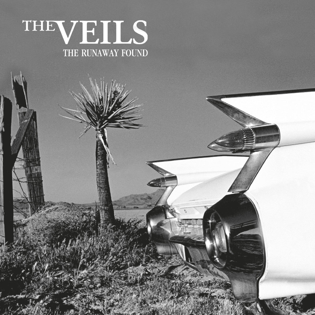 THE VEILS - The Runaway Found - Vinyl