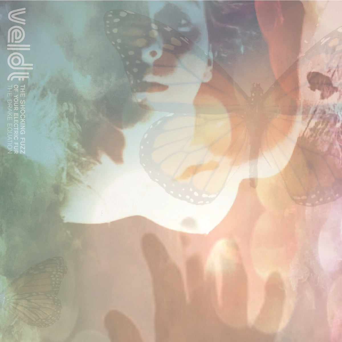 The Veldt - The Shocking Fuzz of Your Electric Fur: The Drake Equation EP - Vinyl