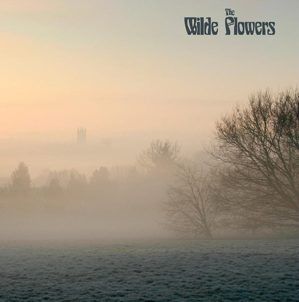THE WILDE FLOWERS - The Wilde Flowers - Vinyl