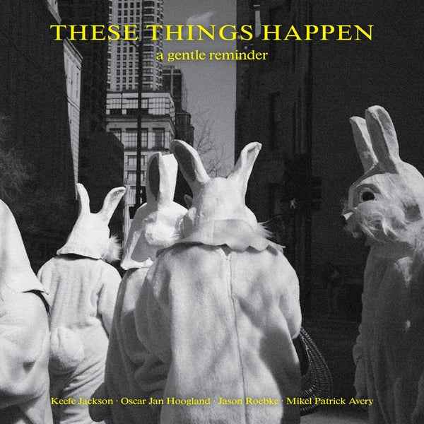 These Things Happen - A Gentle Reminder [LP] - Vinyl