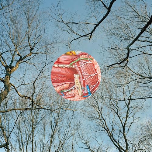 They Might Be Giants - Glean - Vinyl