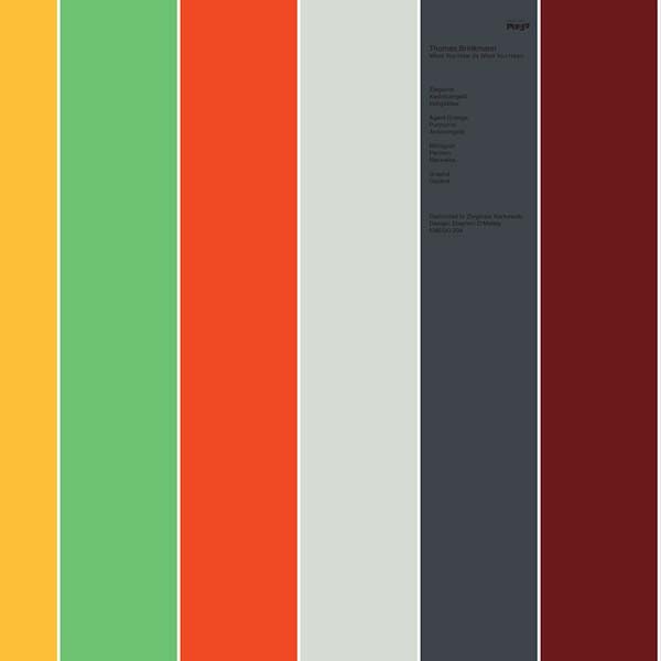 THOMAS BRINKMANN - What You Hear (Is What You Hear) - Vinyl