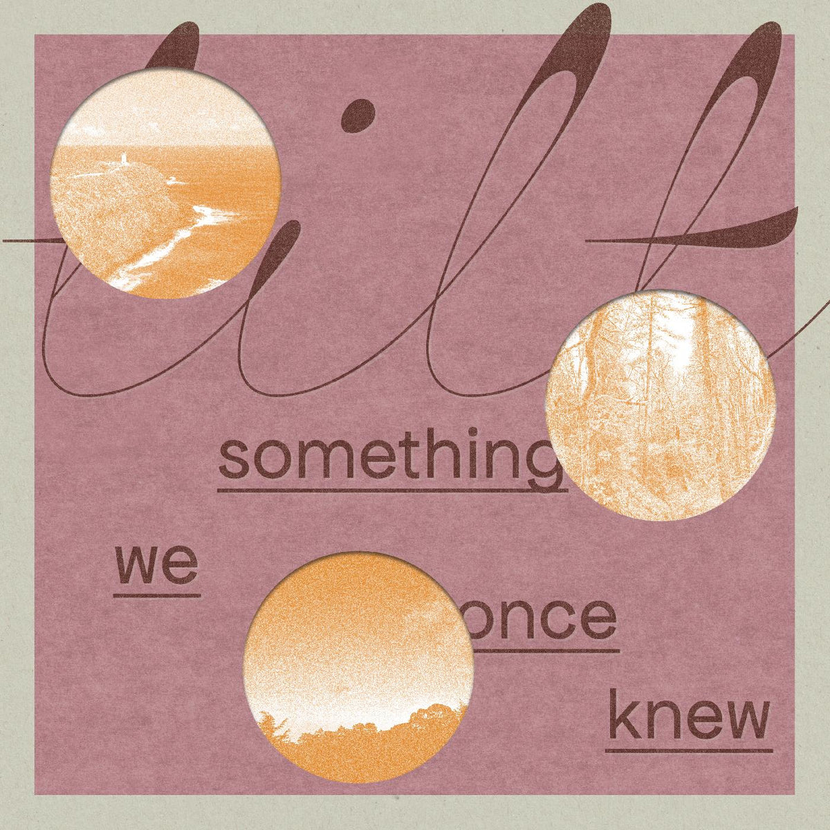 Tilt - something we once knew - Vinyl