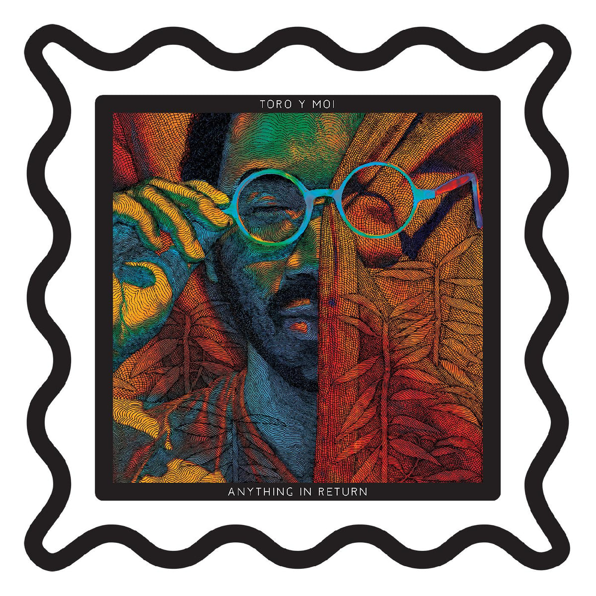 Toro Y Moi - Anything In Return (10th Anniversary Picture Disc) (DELUXE EDITION) - Vinyl