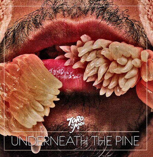 Toro Y Moi - Underneath the Pine - Vinyl