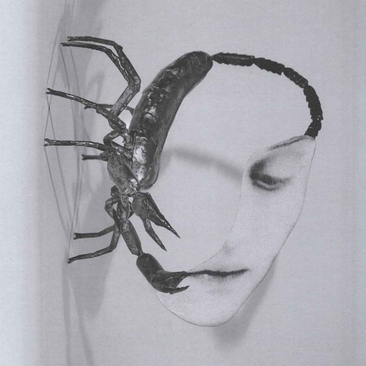 Tortoise - Touch [140 Gram Black Vinyl] - Vinyl