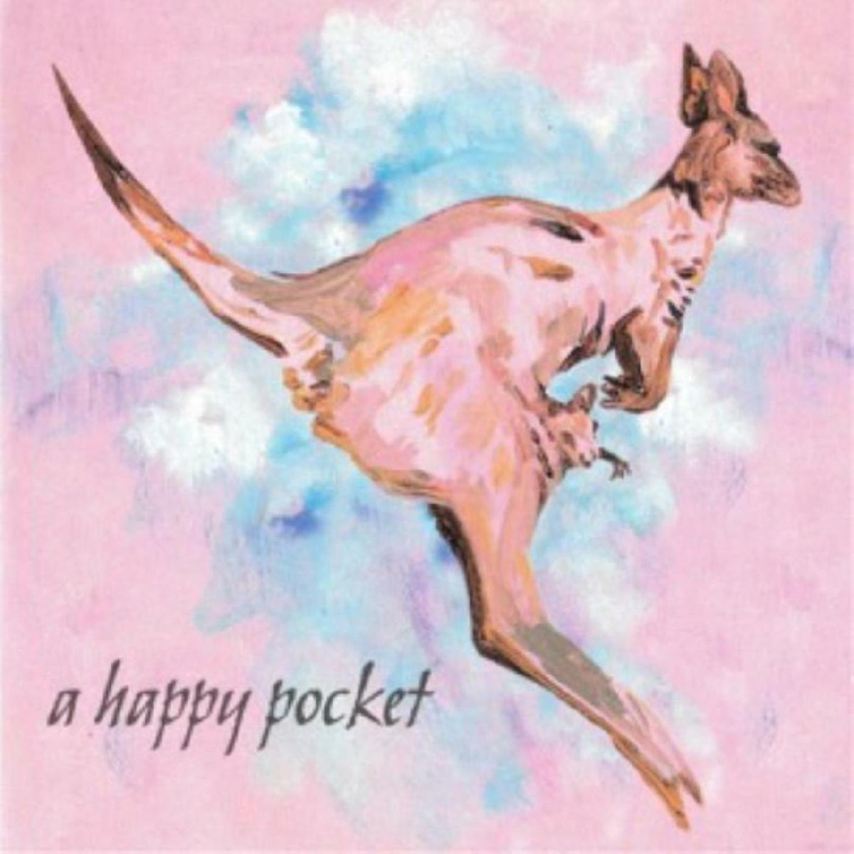 TRASHCAN SINATRAS - A Happy Pocket - Vinyl