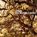 Travis - The Invisible Band (20th Anniversary) [LP] - Vinyl