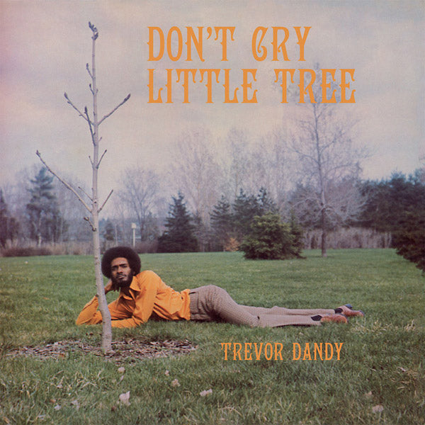 TREVOR DANDY - Don't Cry Little Tree - CD