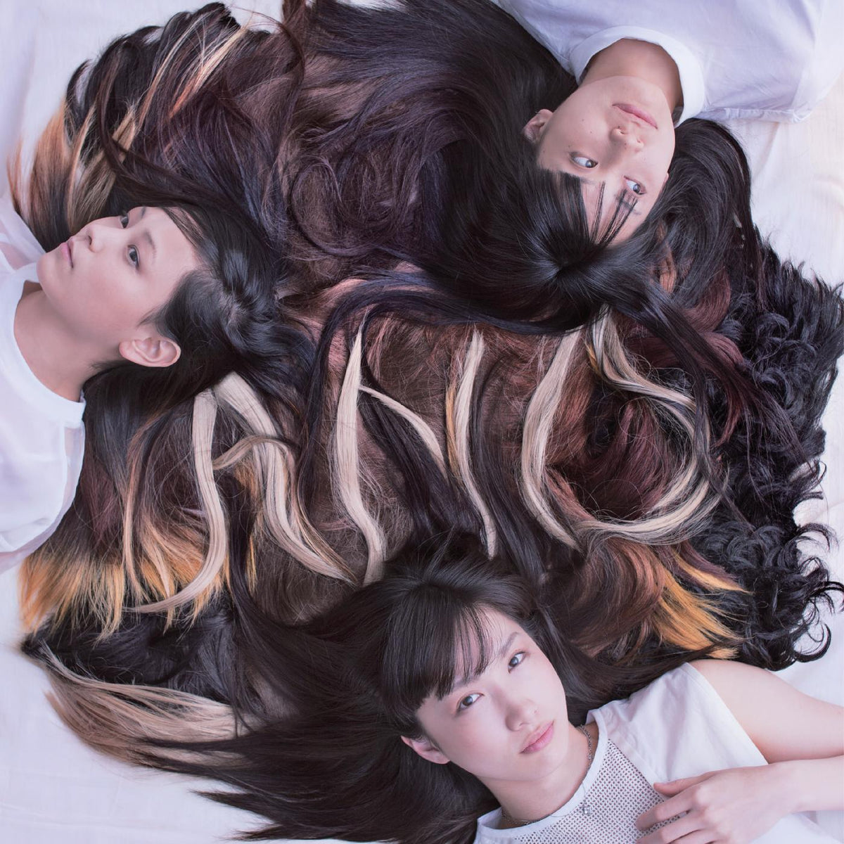 Tricot - A N D (BROWN IN TAN VINYL) - Vinyl