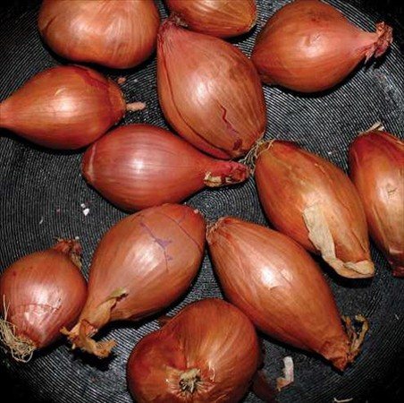 Ty Segall - FRIED SHALLOTS - Vinyl