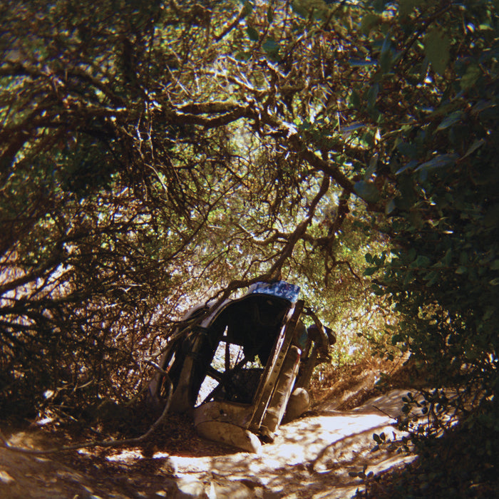Ty Segall - Possession - Vinyl