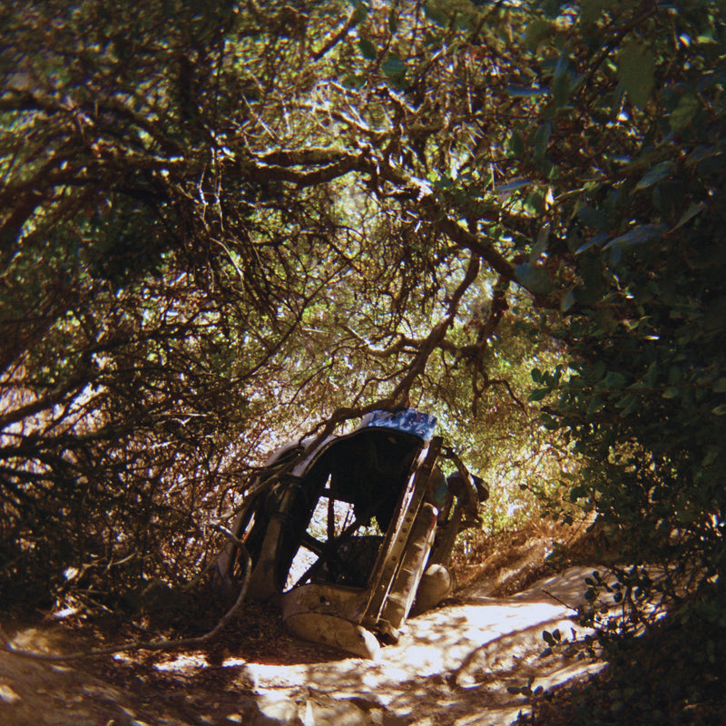 Ty Segall - Possession - Vinyl