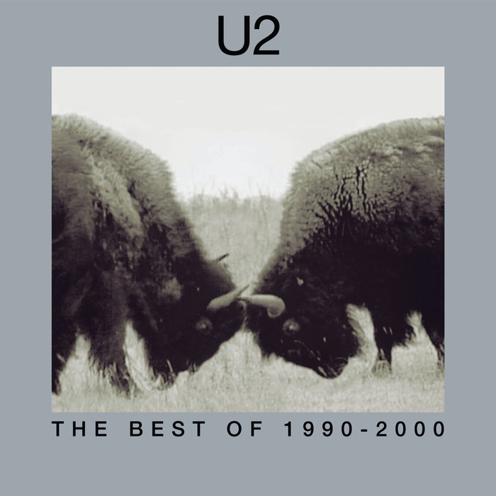 U2 - The Best Of 1990-2000 (180 Gram Vinyl) (2 Lp's) - Vinyl