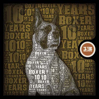 Va - 10 Years Of Boxer - CD