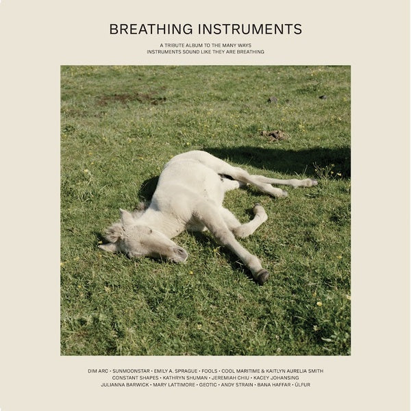 Va - Breathing Instruments - Vinyl